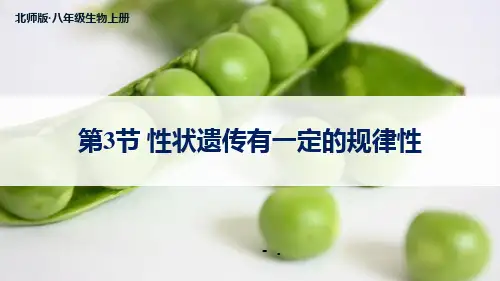 《性状遗传有一定的规律性》PPT优质课件