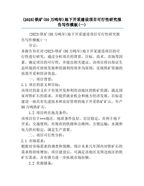 (2023)铁矿(50万吨年)地下开采建设项目可行性研究报告写作模板(一)