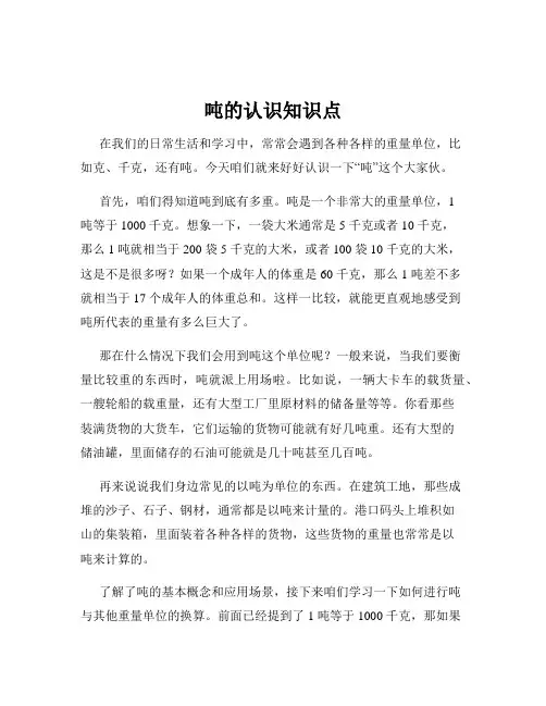 吨的认识知识点