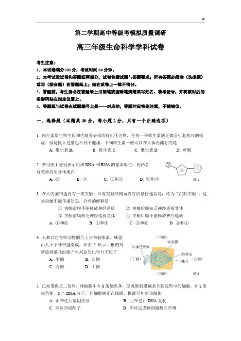2020年高考二模生物试卷及答案