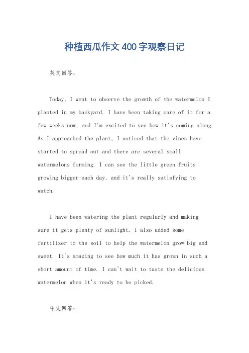 种植西瓜作文400字观察日记
