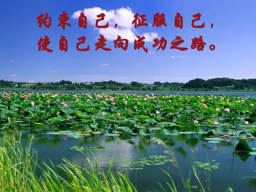 会计制度设计第3章 会计组织系统设计