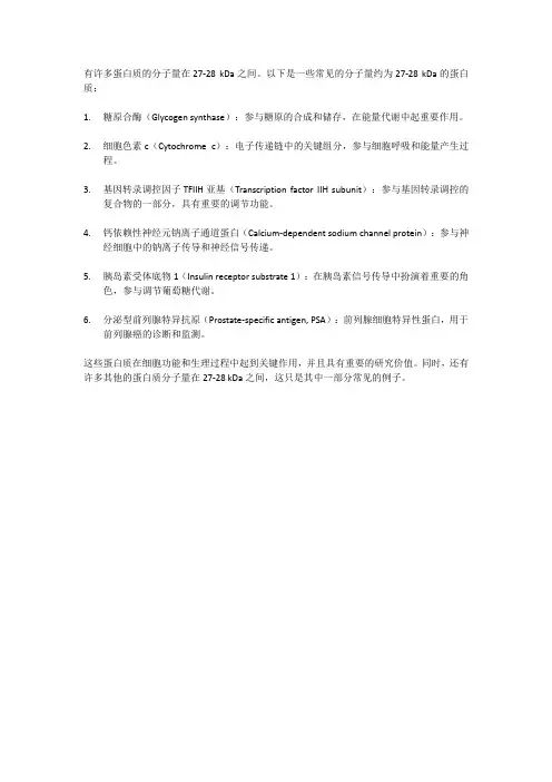 分子量27-28kda的蛋白
