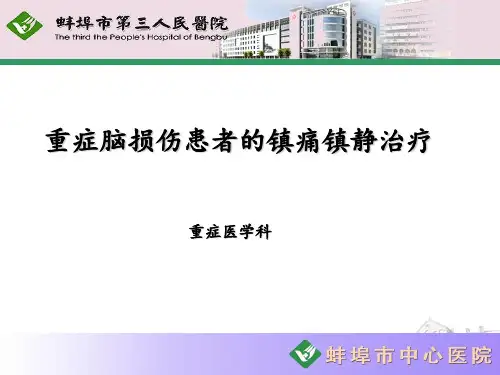 重症脑损伤患者的镇痛镇静治疗 ppt课件
