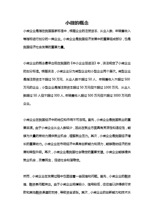 小微的概念