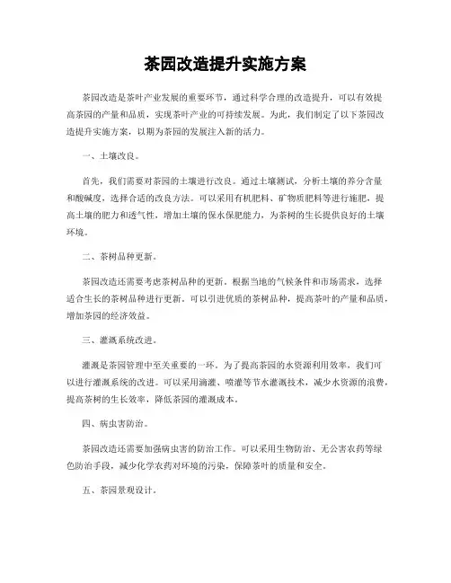 茶园改造提升实施方案