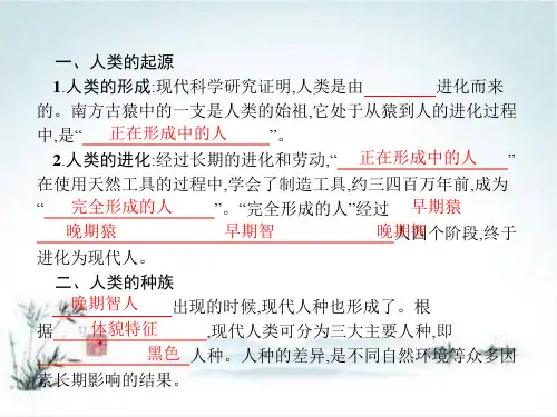 九年级历史中图版上册：1.1-人类历史的开端PPT课件