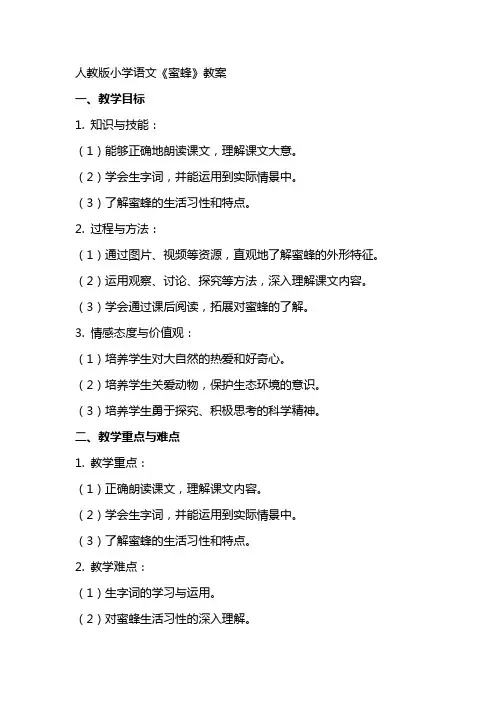 人教版小学语文《 蜜蜂》教案