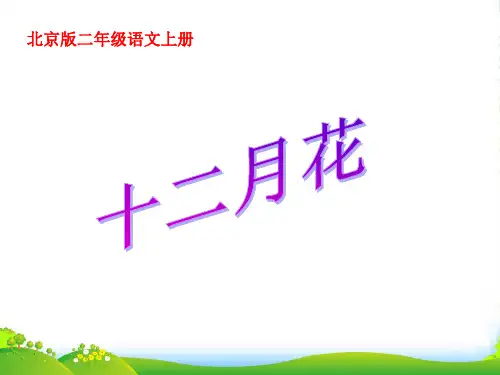 二年级语文上册 十二月花 1课件 北京