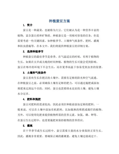 种植蚕豆方案