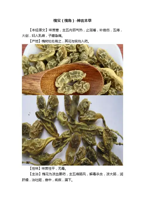 槐实（槐角）-神农本草