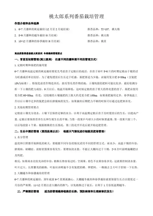 桃太郎系列番茄栽培管理