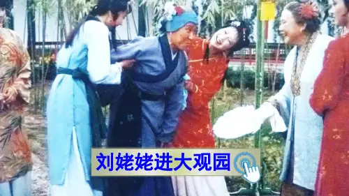 24刘姥姥进大观园(重难点突出,实用性强)