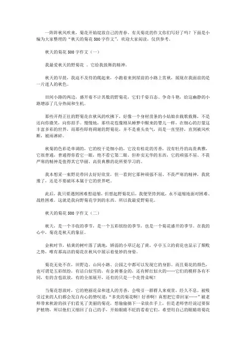 秋天的菊花500字作文