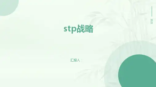 stp战略