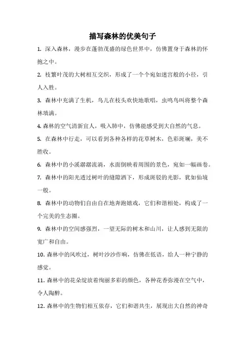 描写森林的优美句子