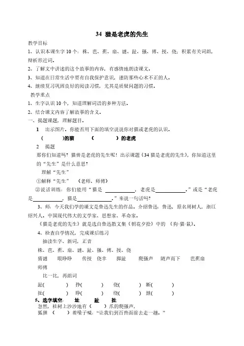 猫是老虎先生教案