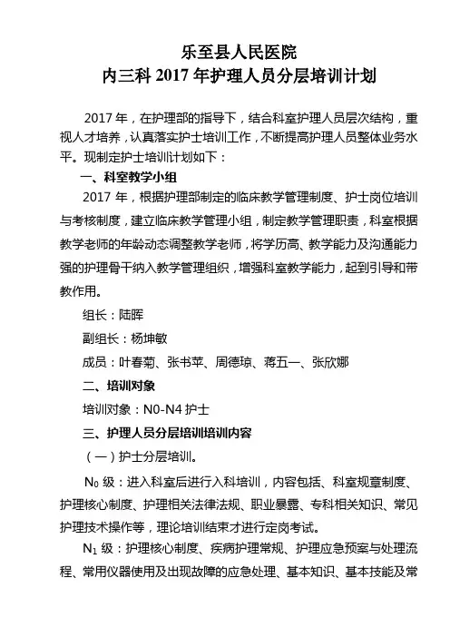 护士分级培训计划 (1)