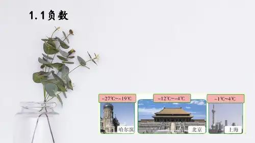 六年级下册数学_负数人教版(21张)精品课件