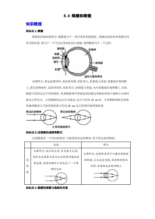人教版物理八年级上册 5-4 眼睛和眼镜 同步练习(解析版)