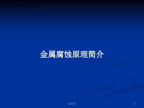 金属腐蚀原理简介PPT学习教案