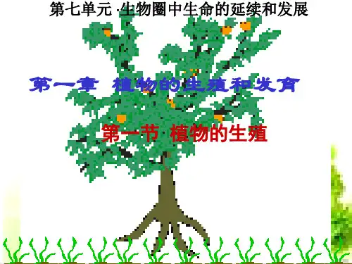 人教版《植物的生殖》_PPT-优秀版