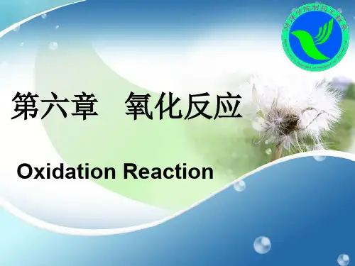 第六章氧化反应