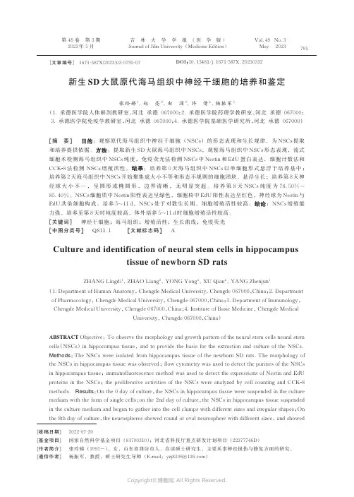 219415363_新生SD_大鼠原代海马组织中神经干细胞的培养和鉴定
