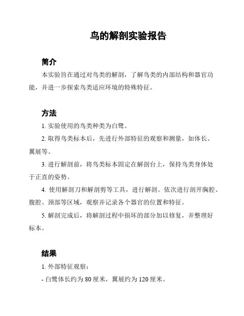 鸟的解剖实验报告