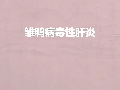雏鸭病毒性肝炎