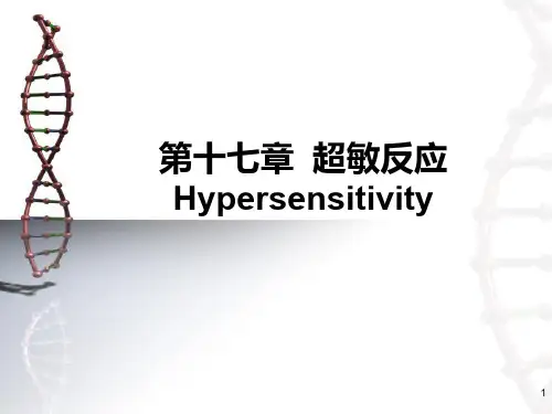 超敏反应ppt课件
