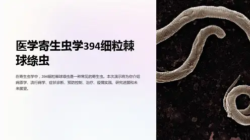 医学寄生虫学394细粒棘球绦虫