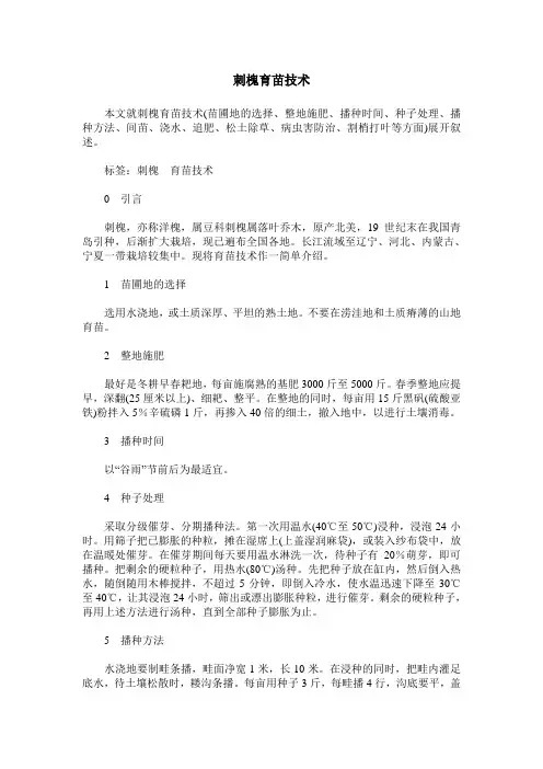 刺槐育苗技术