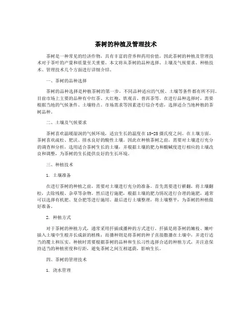 茶树的种植及管理技术