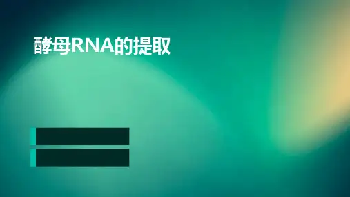 酵母RNA的提取