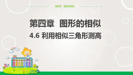 北师大版中学数学九年级上册  利用相似三角形测高   课件PPT