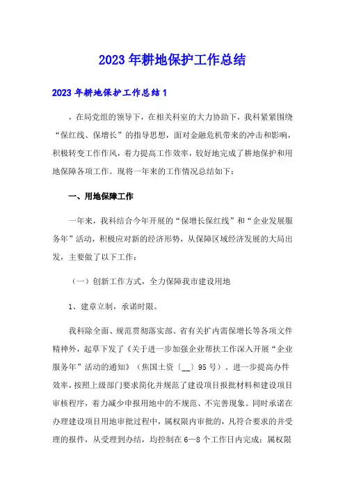 2023年耕地保护工作总结