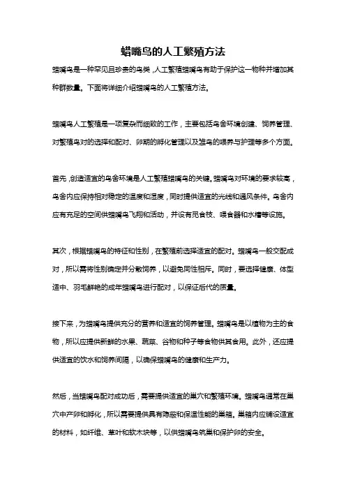 蜡嘴鸟的人工繁殖方法