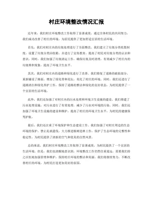 村庄环境整改情况汇报