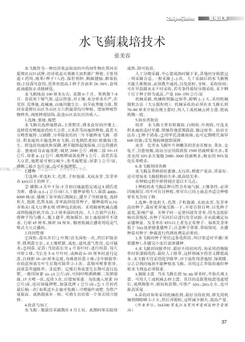 水飞蓟栽培技术