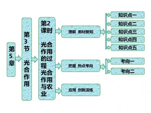 高中生物必修一第5章《细胞的能量代谢》ppt课件(4北师大份)(4)(优秀版)
