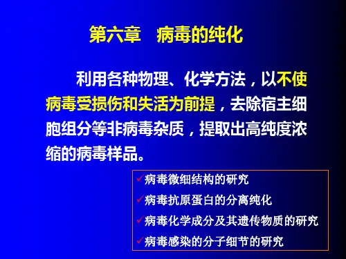 华中农业大学病毒学实验技术第六章病毒纯化(XXXX).pptx