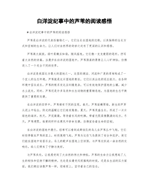 白洋淀纪事中的芦苇的阅读感悟