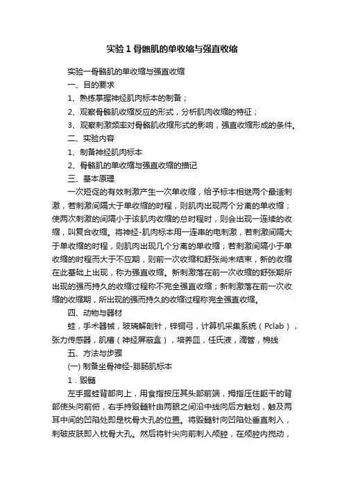 实验1骨骼肌的单收缩与强直收缩