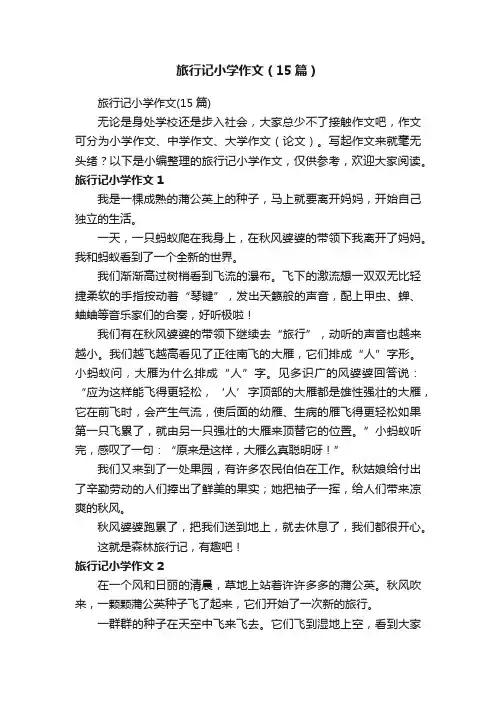 旅行记小学作文（15篇）