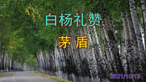 《白杨礼赞》优秀PPT课件