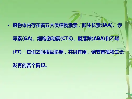  乙烯及其他植物激素对成熟(共53张PPT)