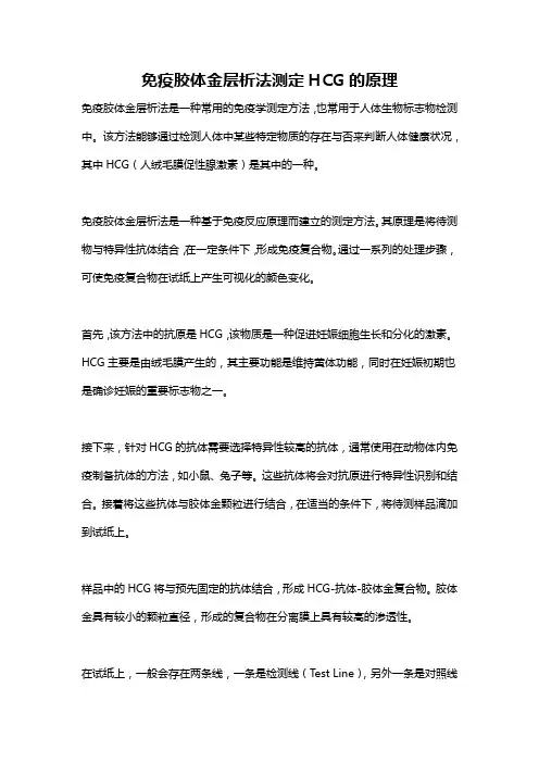免疫胶体金层析法测定HCG的原理