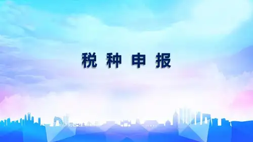 个人所得税申报实操讲解ppt