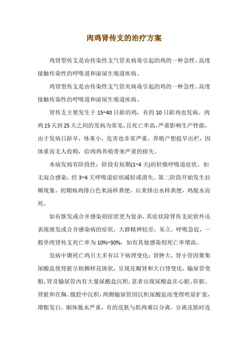 肉鸡肾传支的治疗方案